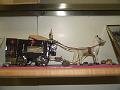 Folsom Prison Hearse model-1